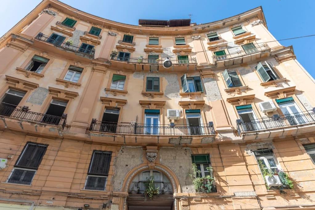Apartment The Shelter 5 *